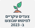 צעדים עיקריים למימוש שבוצעו